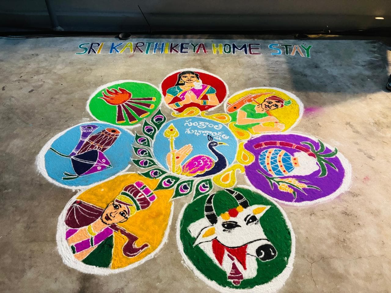 Colourful Sankranti rangoli welcoming guests at the homestay
