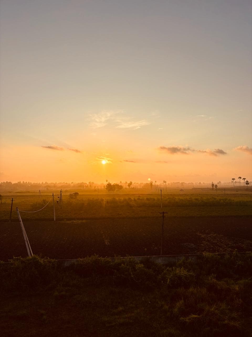 Golden light over fields near Mopidevi — peaceful nature around the homestay